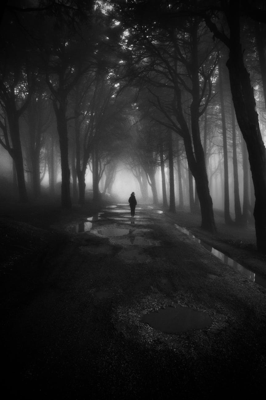 The Darkest Valley