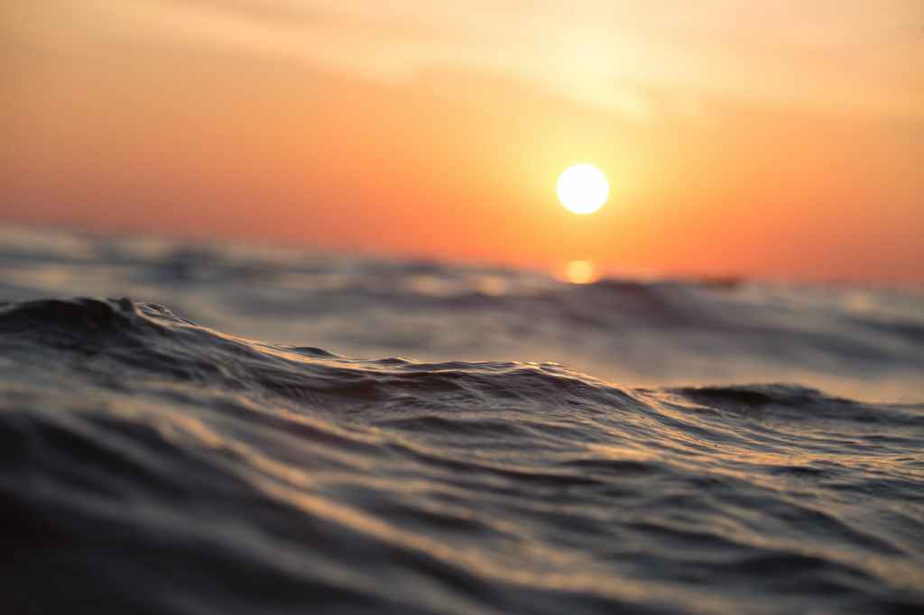 Letting Go of&nbsp;Fear